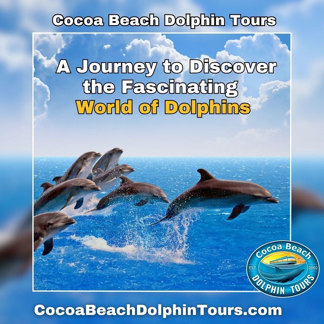 dolphin tours cocoa beach